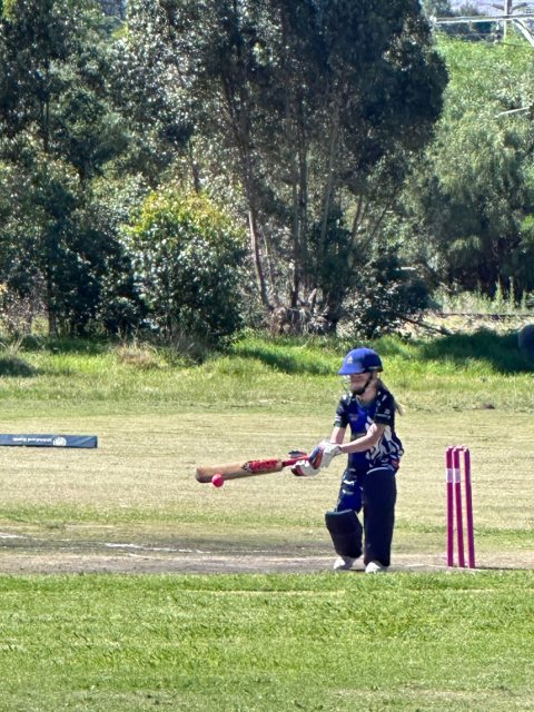 U13 Ladies cricket matchday photograph