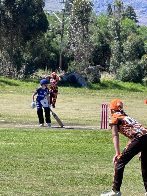U13 Ladies cricket matchday photograph