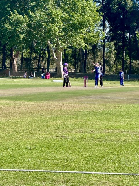 U13 Ladies cricket matchday photograph