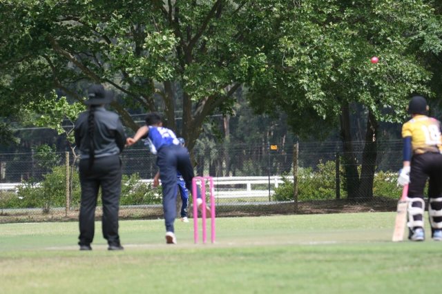U14 Dragons cricket matchday photograph
